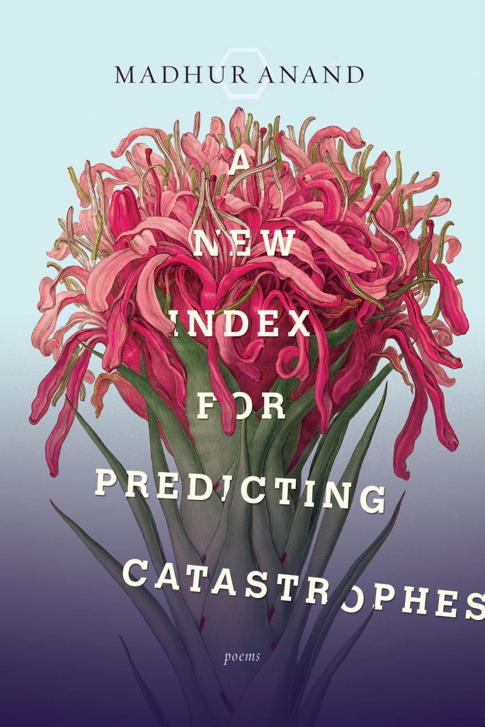 Big bigCover of A New Index for Predicting Catastrophes