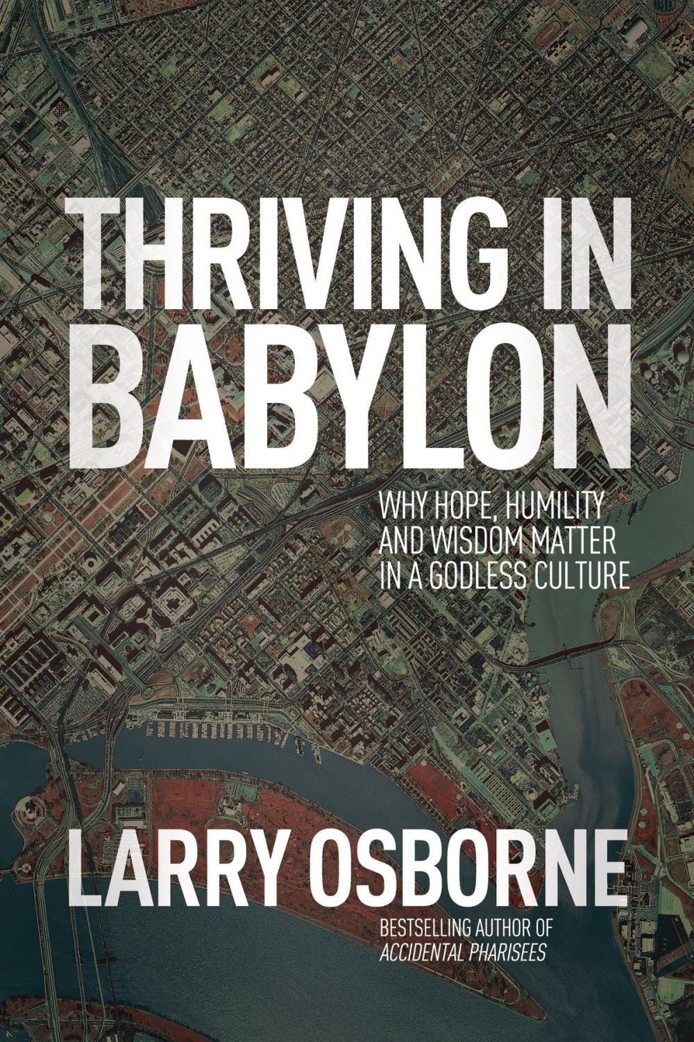 Big bigCover of Thriving in Babylon