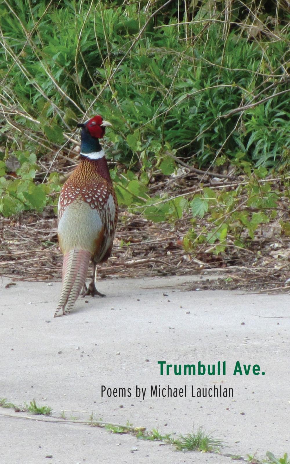 Big bigCover of Trumbull Ave.