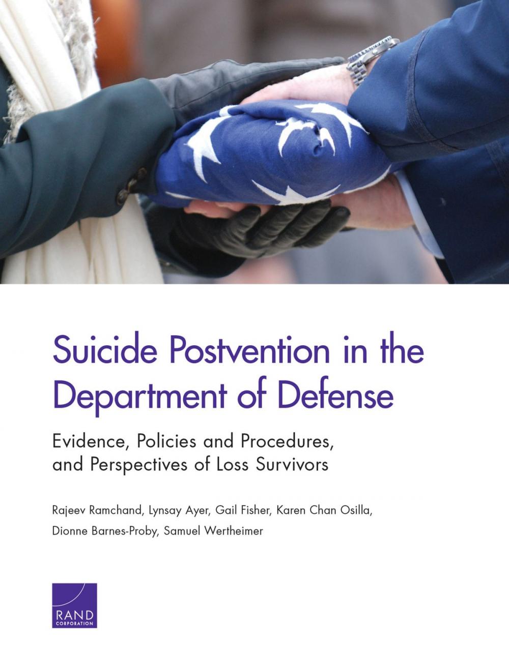 Big bigCover of Suicide Postvention in the Department of Defense