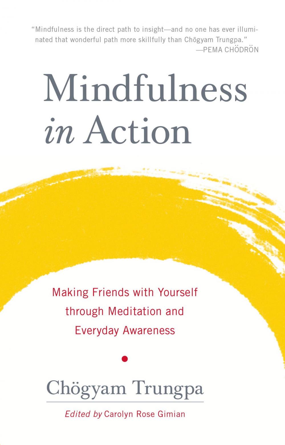 Big bigCover of Mindfulness in Action