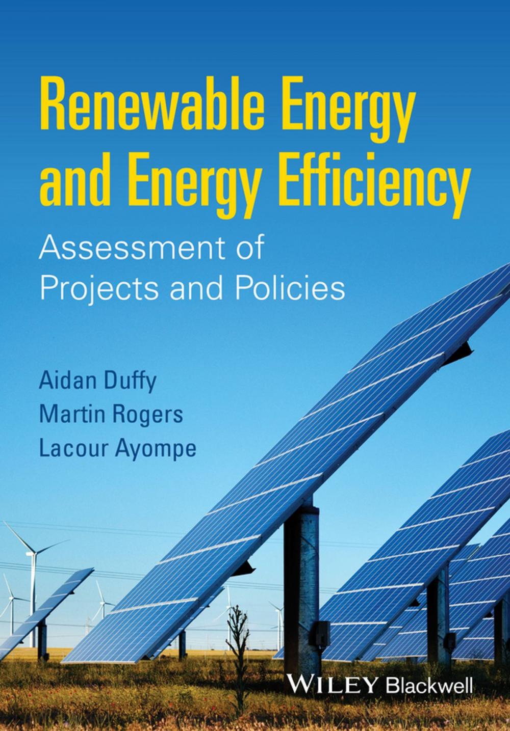 Big bigCover of Renewable Energy and Energy Efficiency