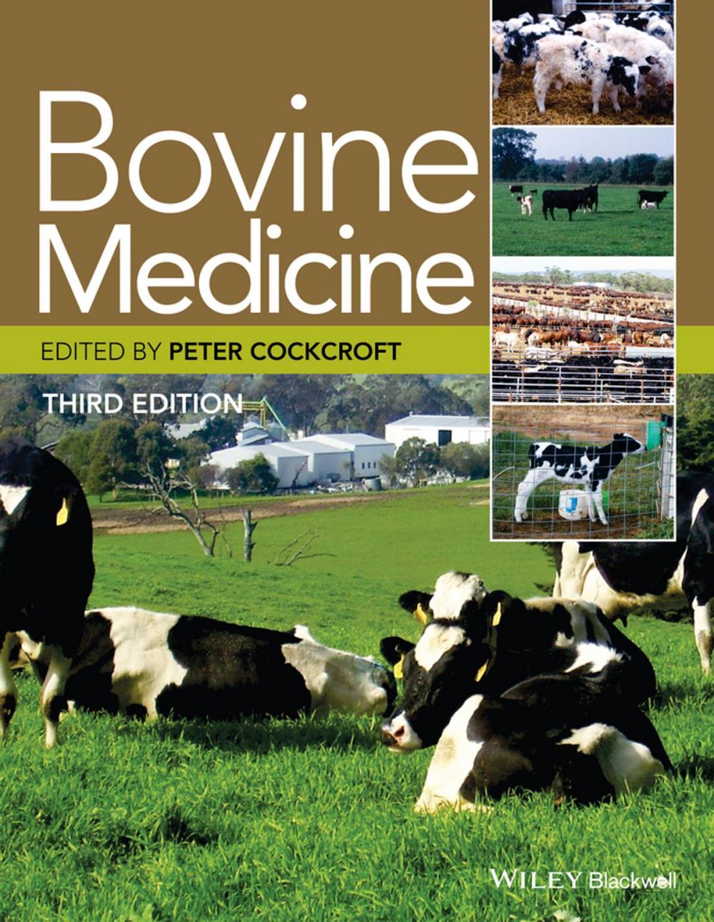 Big bigCover of Bovine Medicine