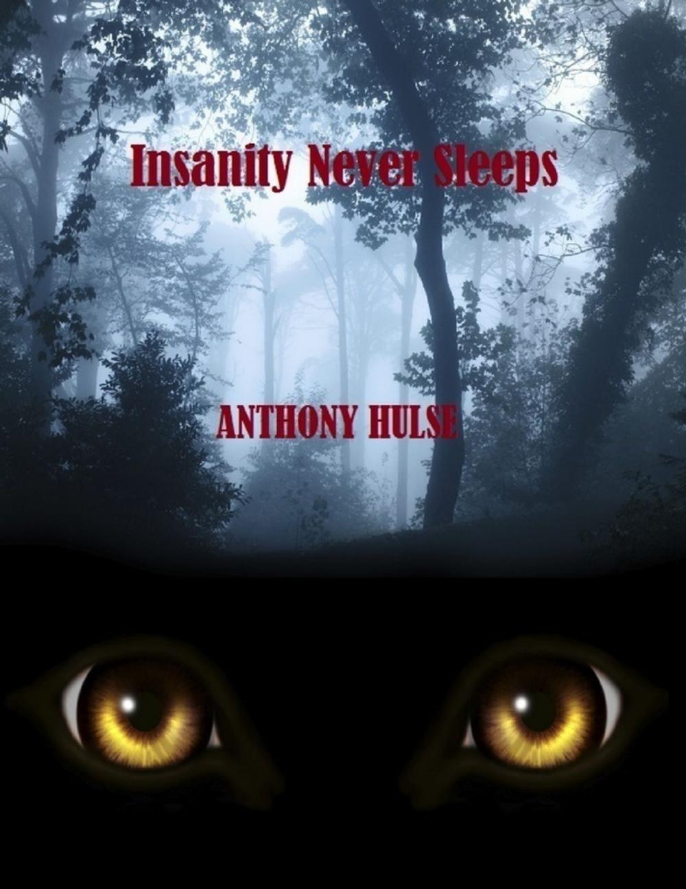 Big bigCover of Insanity Never Sleeps