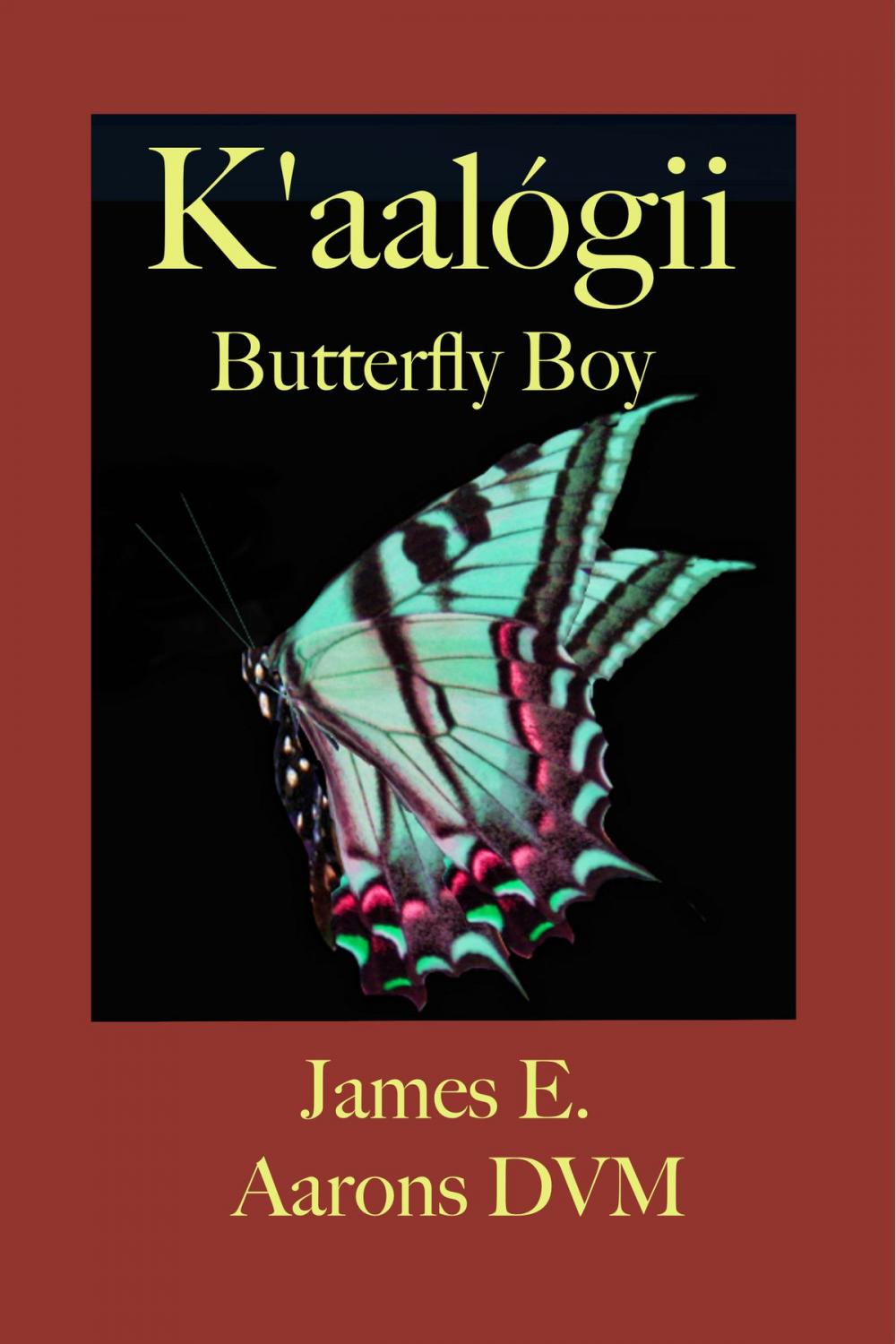 Big bigCover of K’aalógii Butterfly Boy