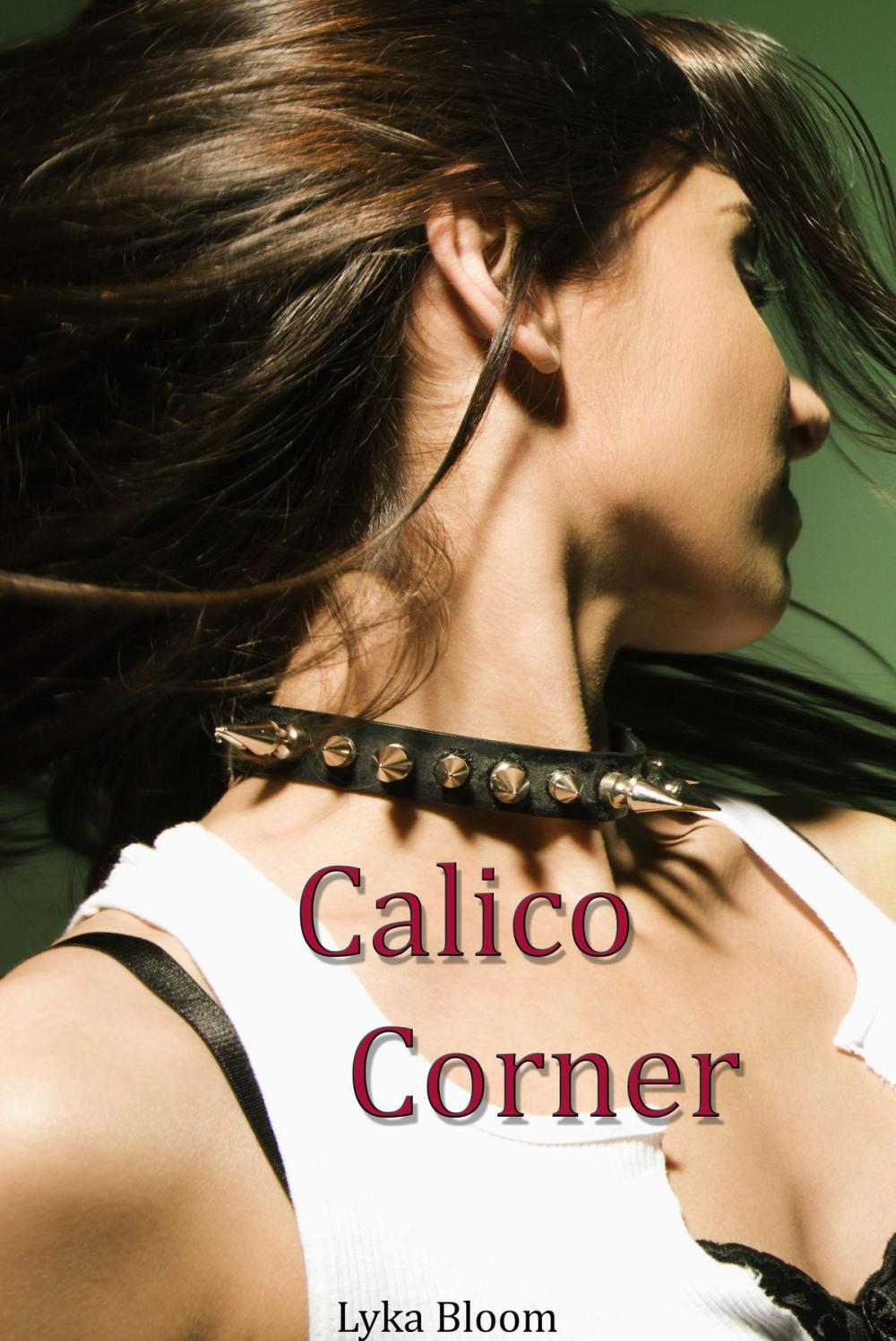 Big bigCover of Calico Corner