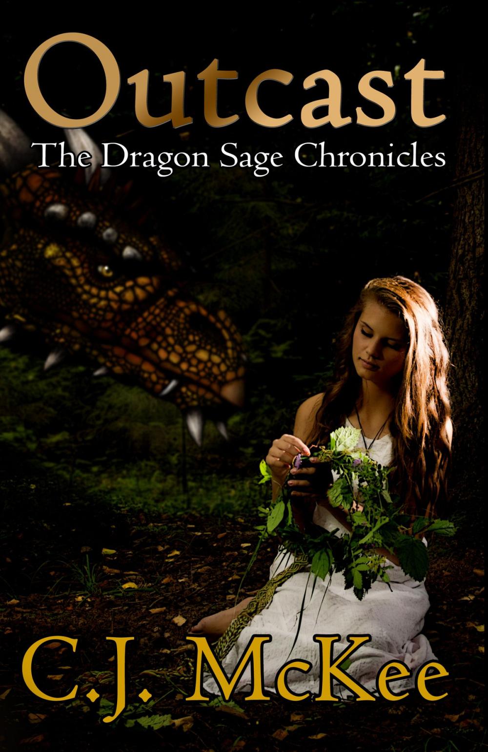 Big bigCover of Outcast: The Dragon Sage Chronicles