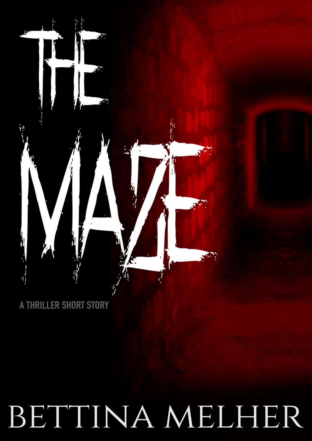 Big bigCover of THE MAZE: A Thriller Short Story