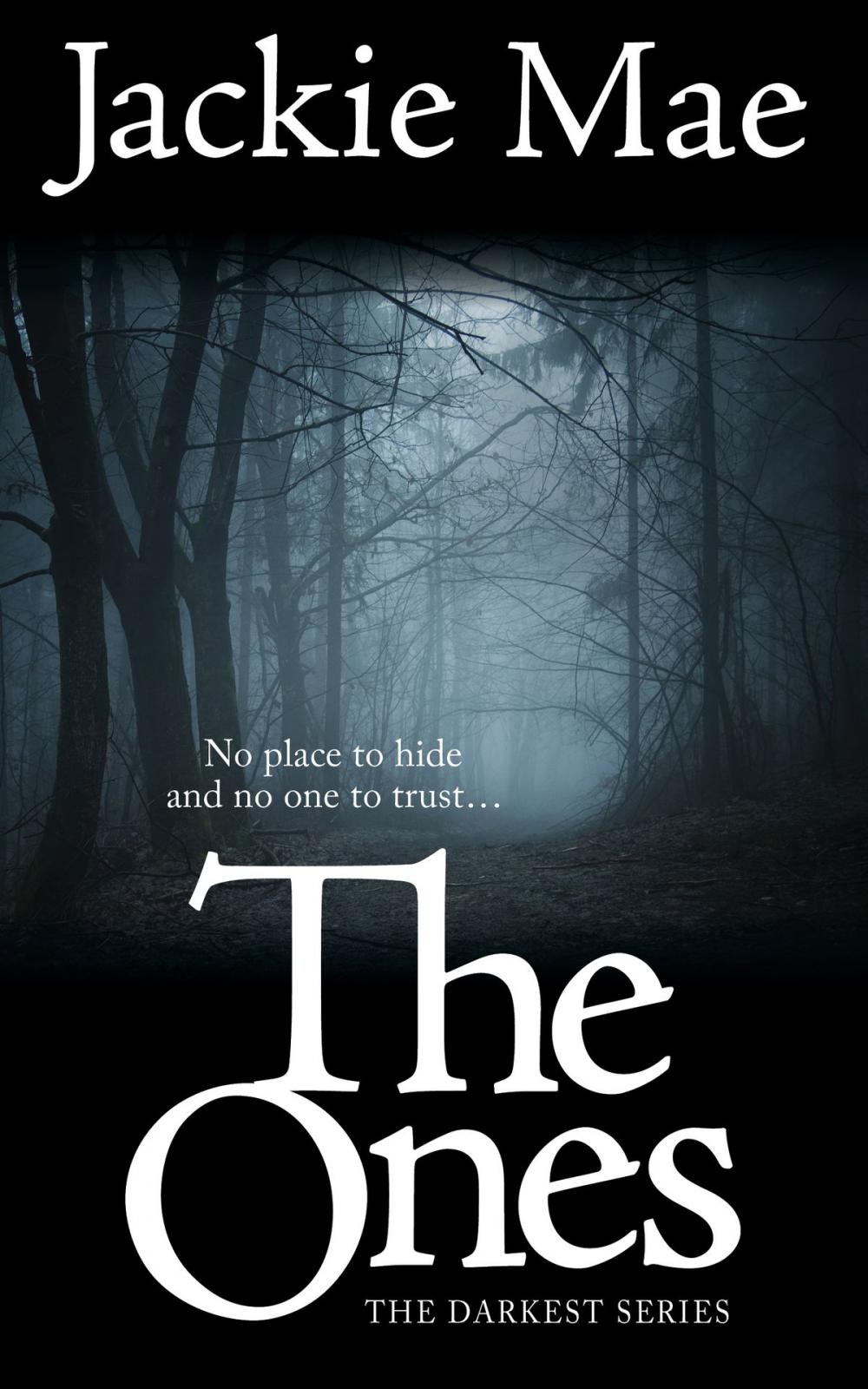 Big bigCover of The Ones The Darkest Series