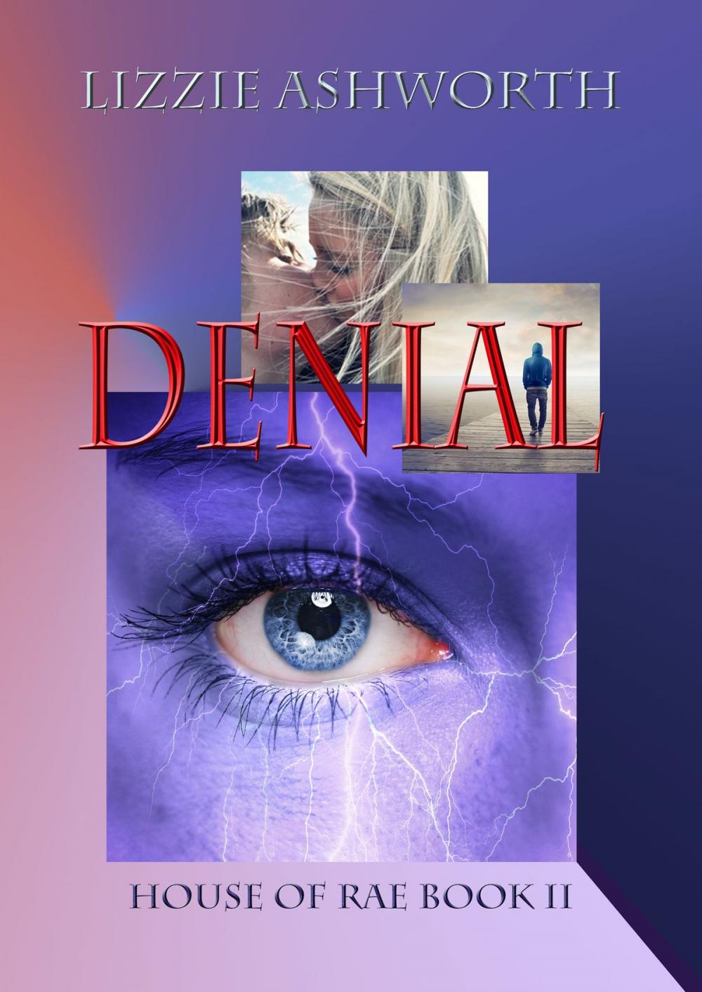 Big bigCover of Denial