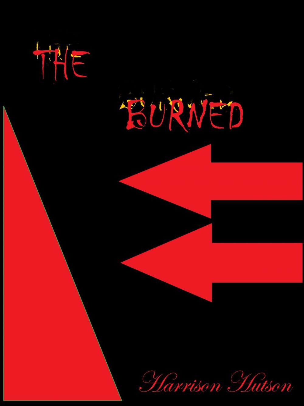 Big bigCover of The Burned