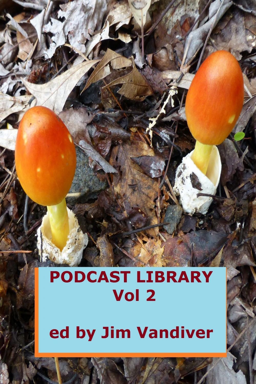 Big bigCover of Podcast Library, Vol 2