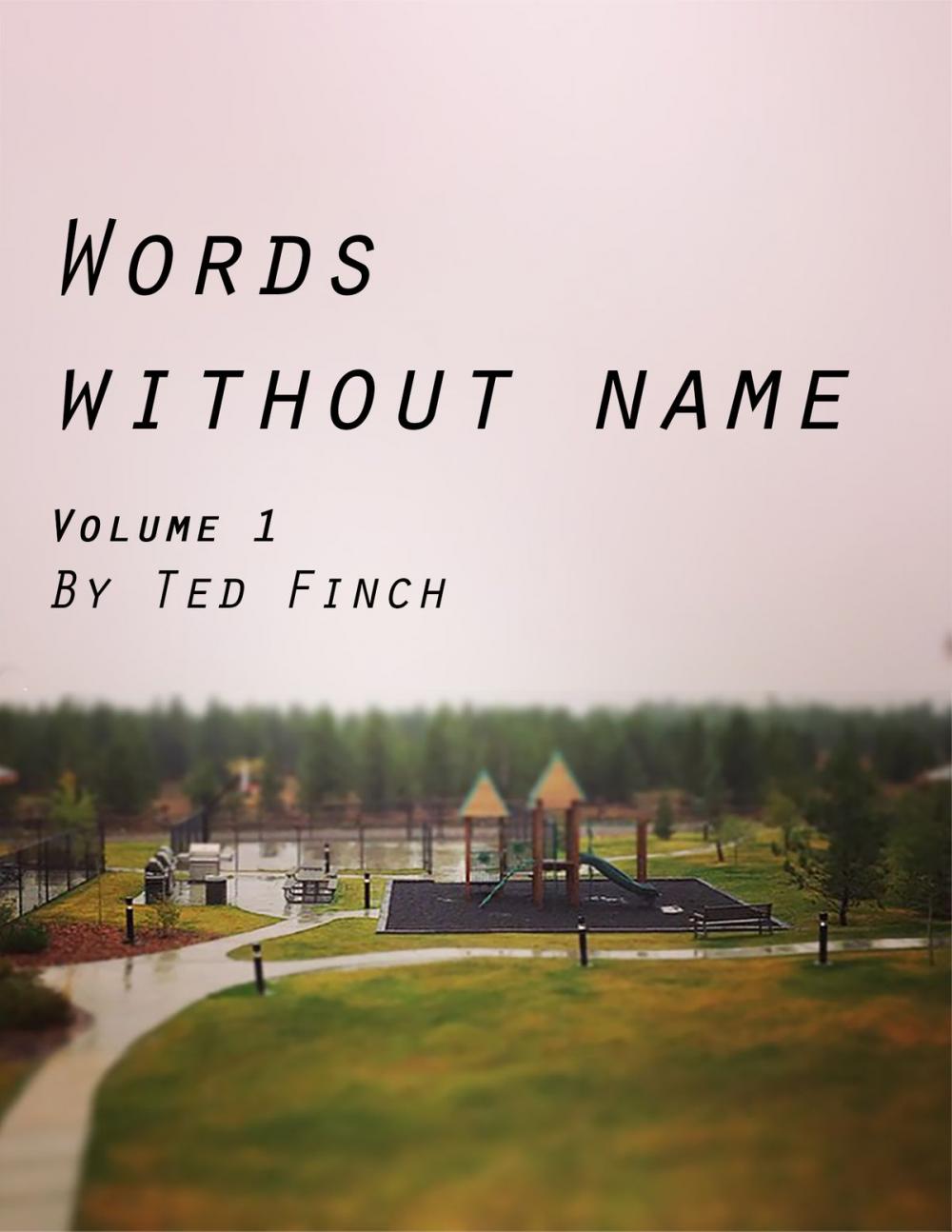 Big bigCover of Words Without Name Volume 1