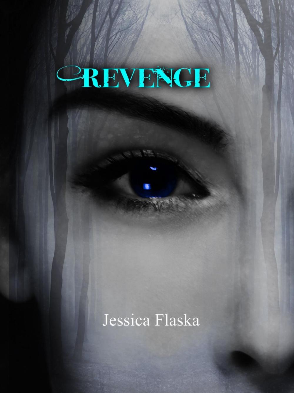 Big bigCover of Revenge