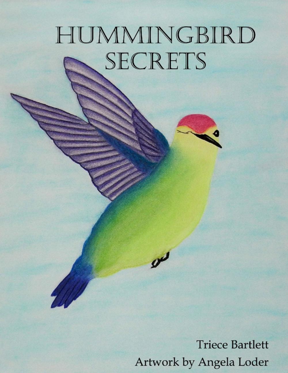 Big bigCover of Hummingbird Secrets