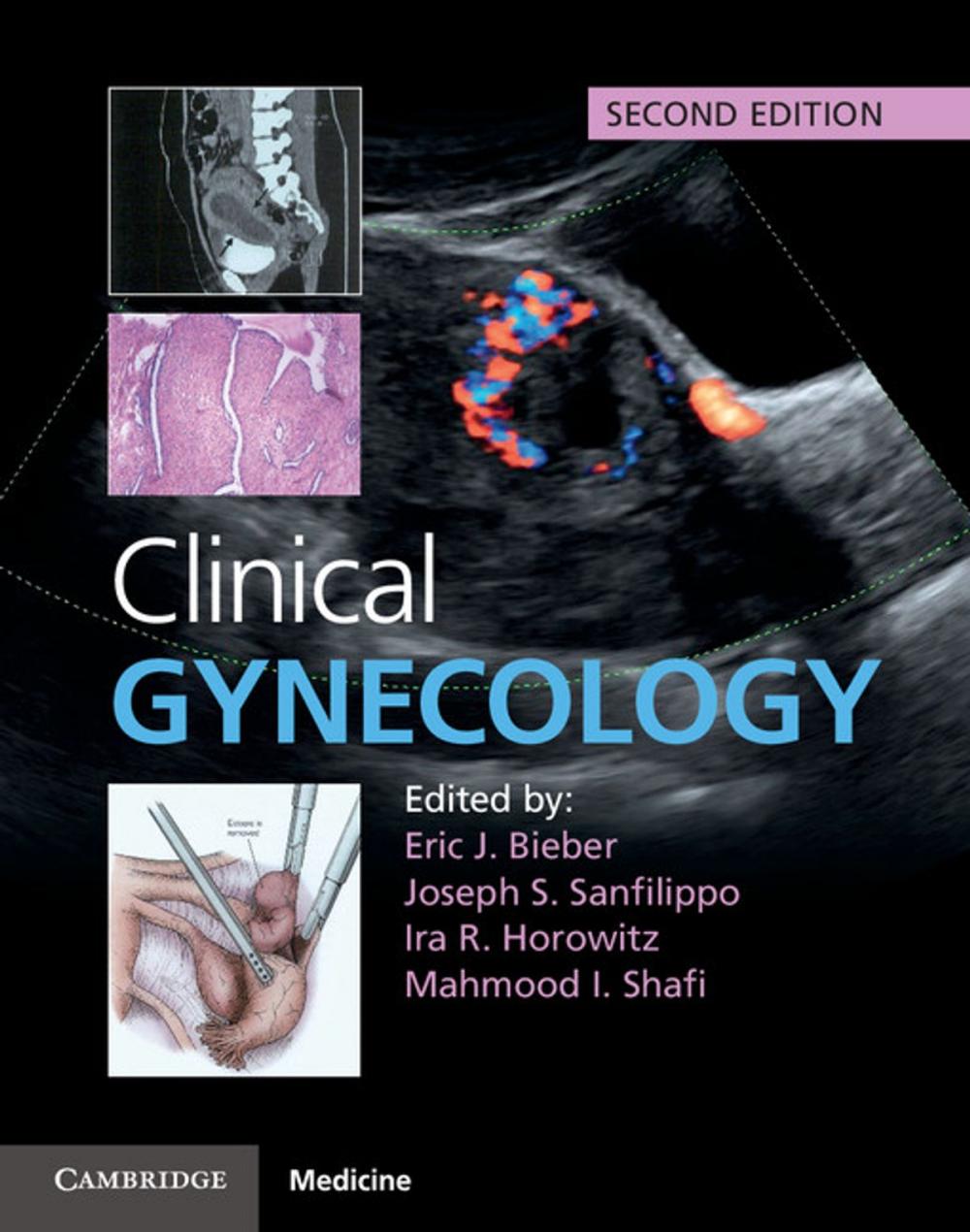 Big bigCover of Clinical Gynecology