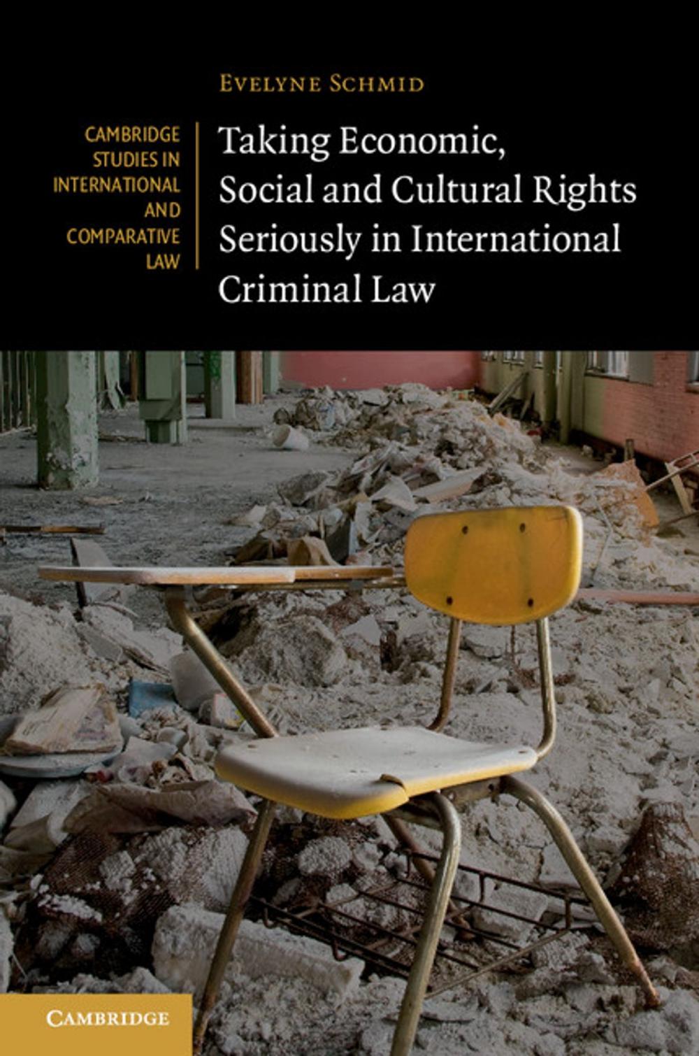 Big bigCover of Taking Economic, Social and Cultural Rights Seriously in International Criminal Law