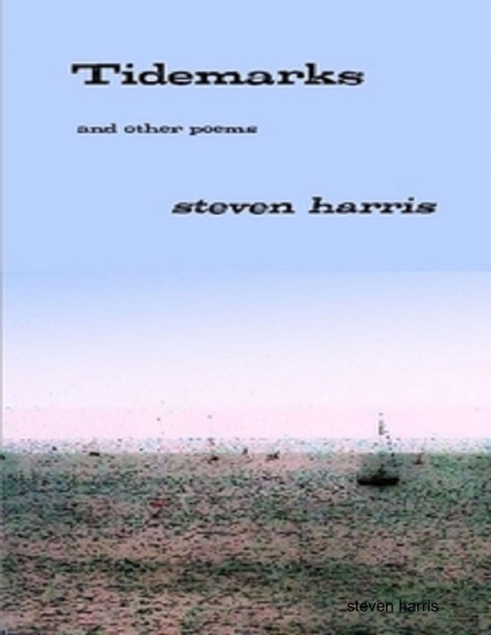 Big bigCover of Tidemarks