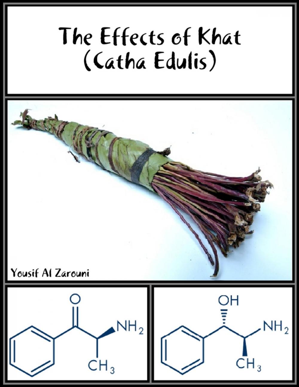 Big bigCover of The Effects of Khat (Catha Edulis)