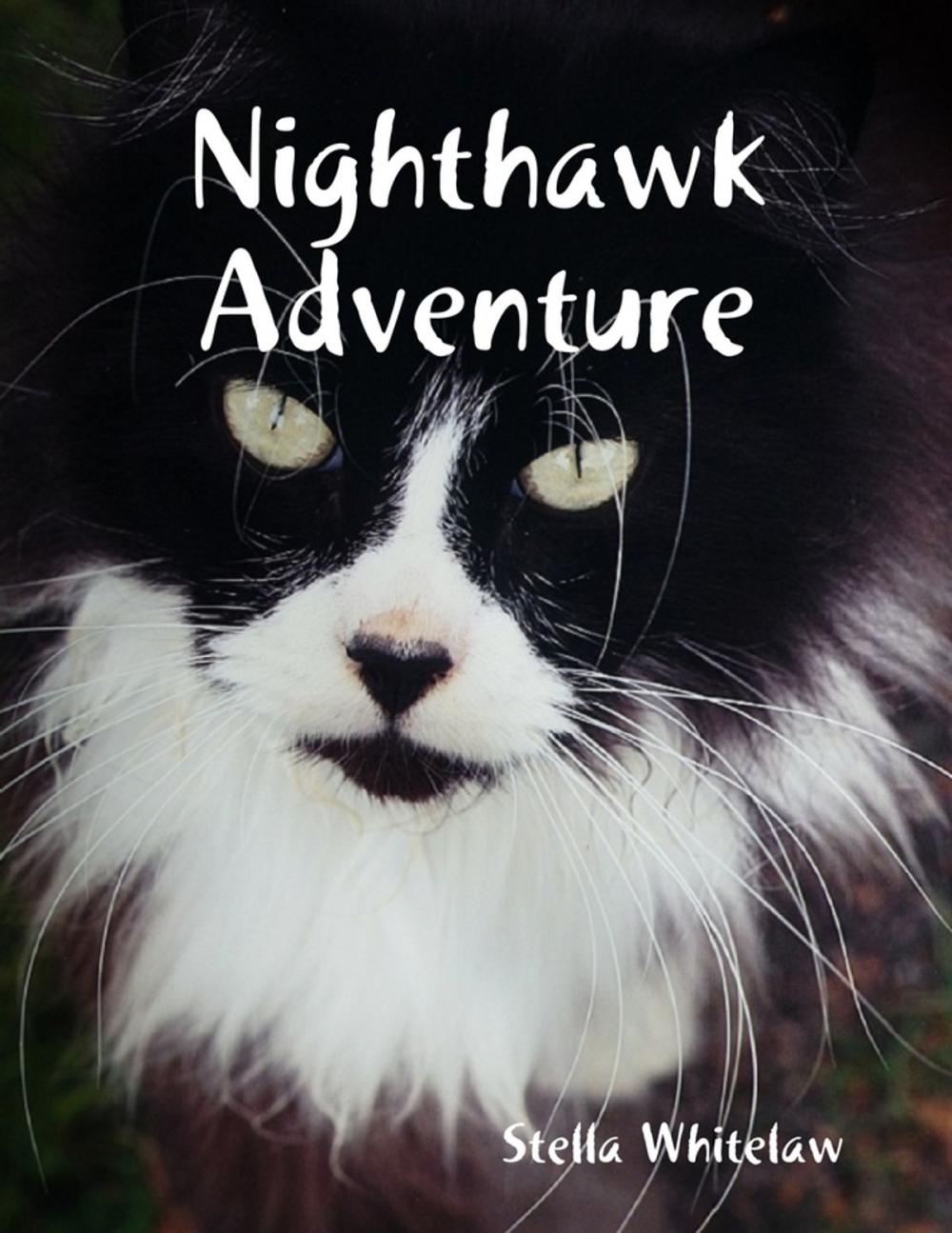 Big bigCover of Nighthawk Adventure