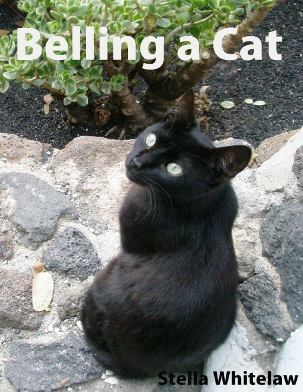 Big bigCover of Belling a Cat