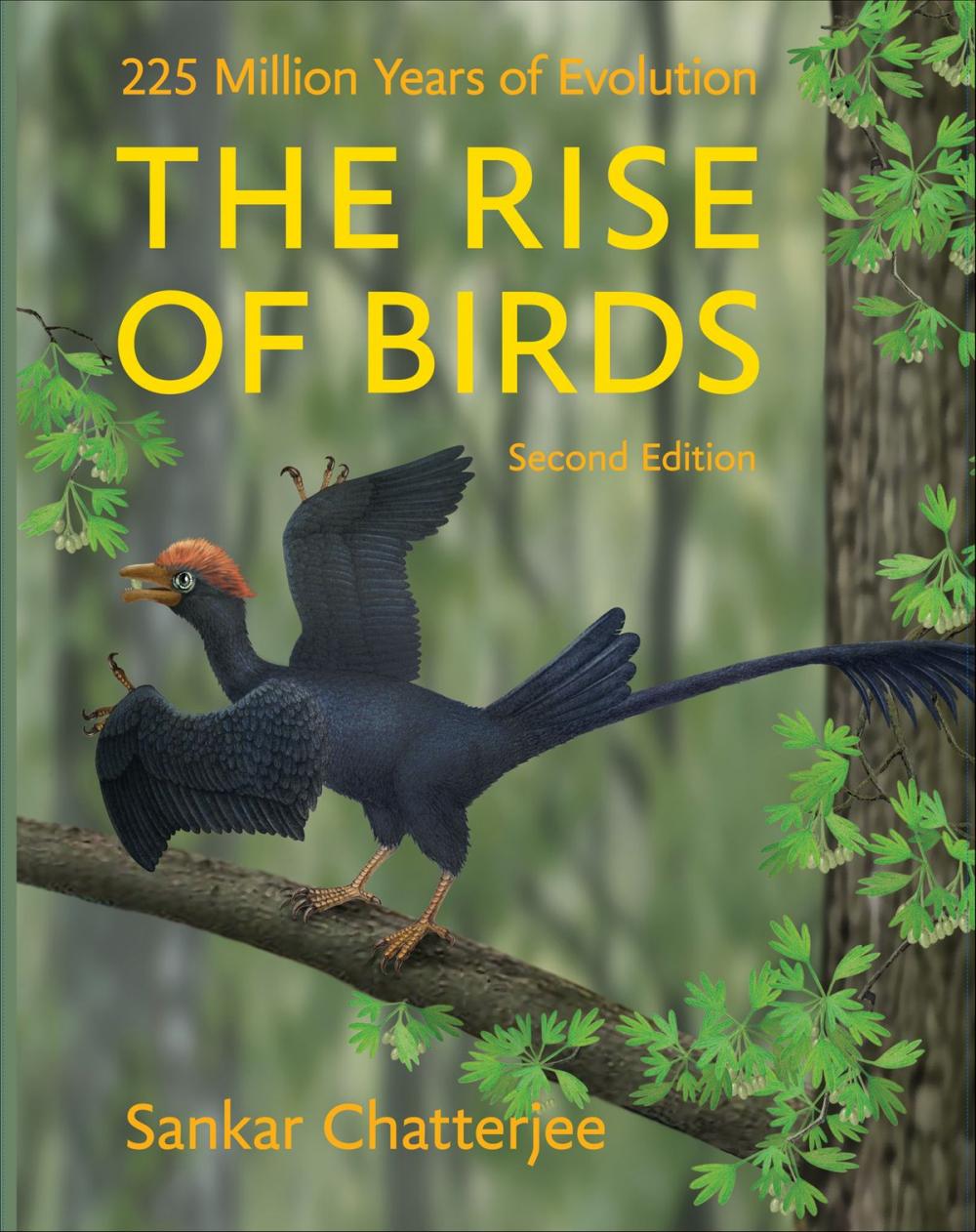 Big bigCover of The Rise of Birds