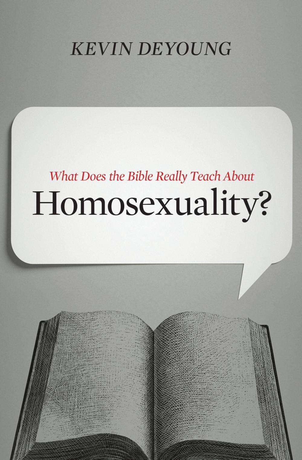 Big bigCover of What Does the Bible Really Teach about Homosexuality?