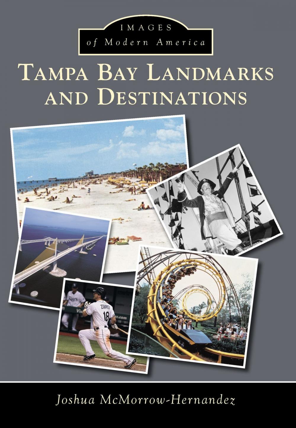 Big bigCover of Tampa Bay Landmarks and Destinations