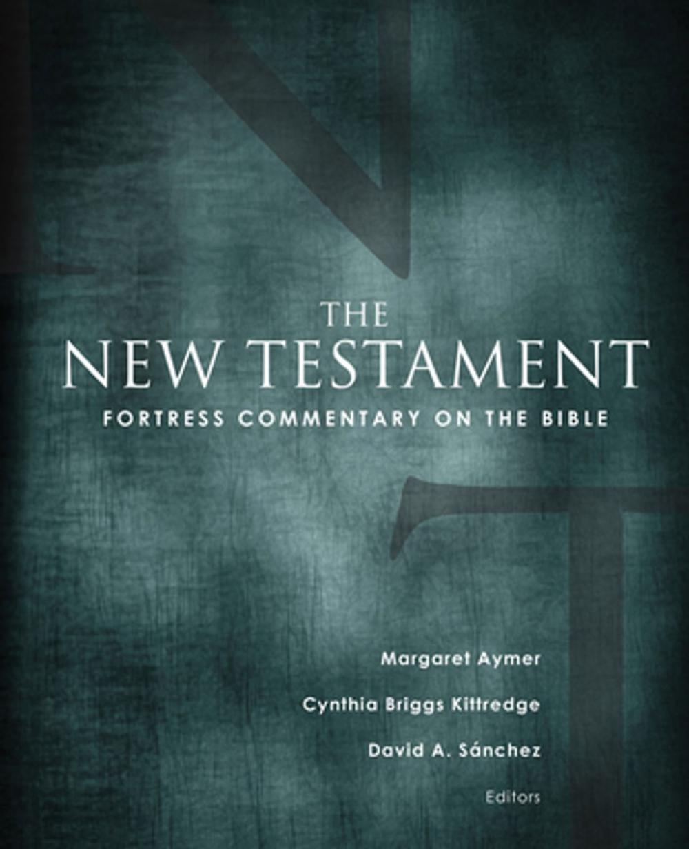 Big bigCover of Fortress Commentary on the Bible