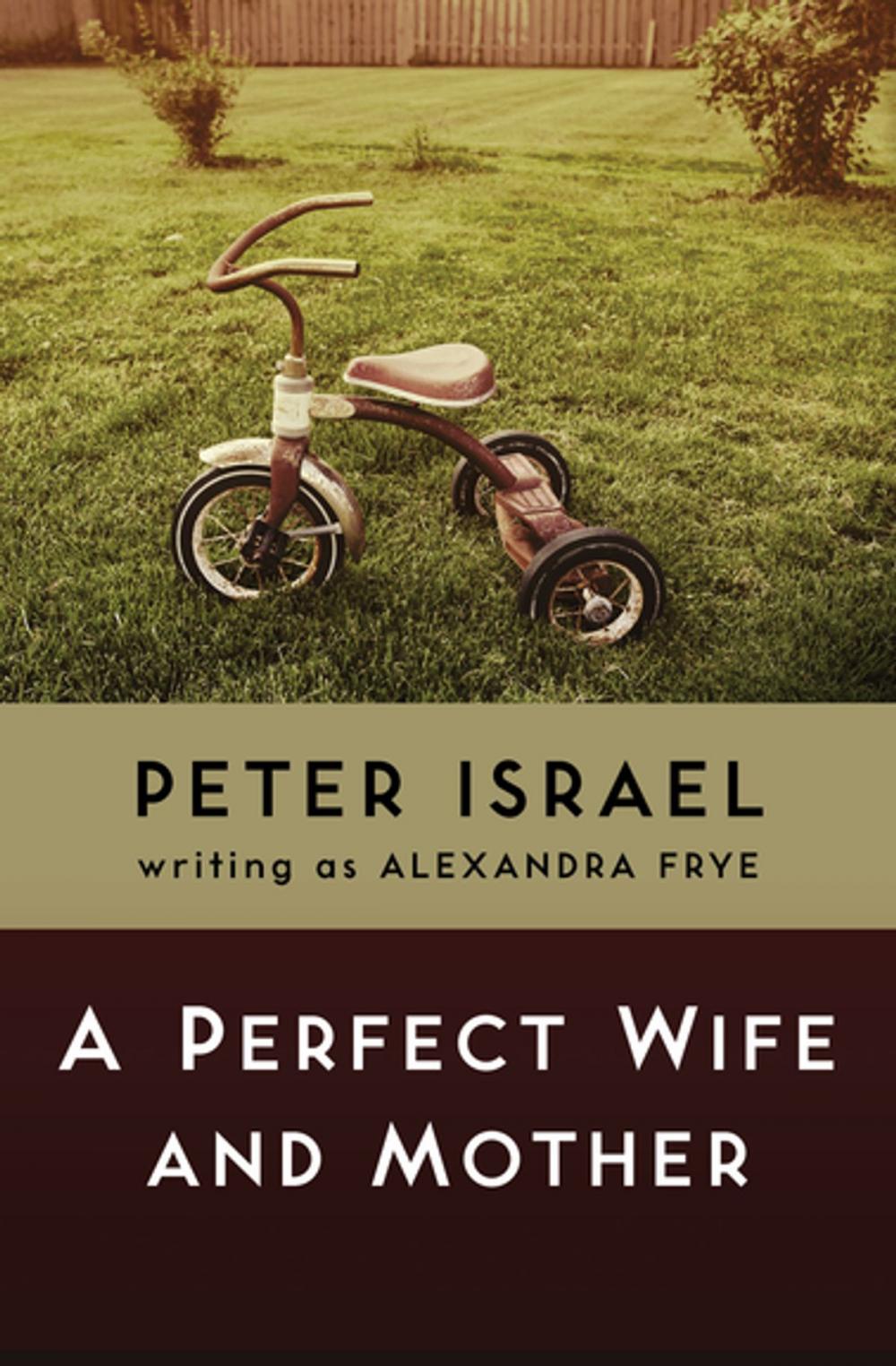 Big bigCover of A Perfect Wife and Mother