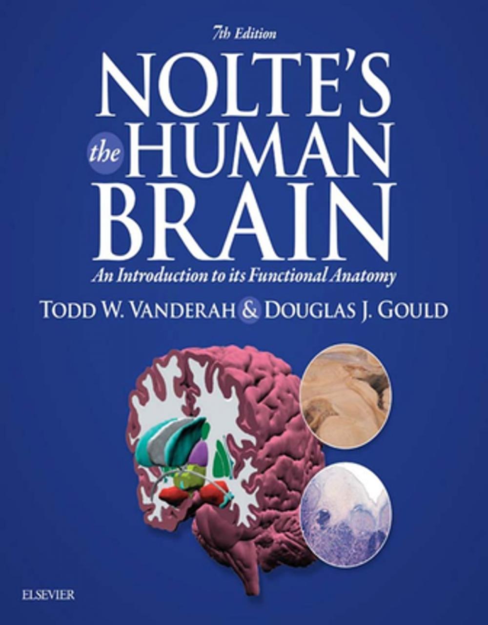 Big bigCover of Nolte’s The Human Brain E-Book