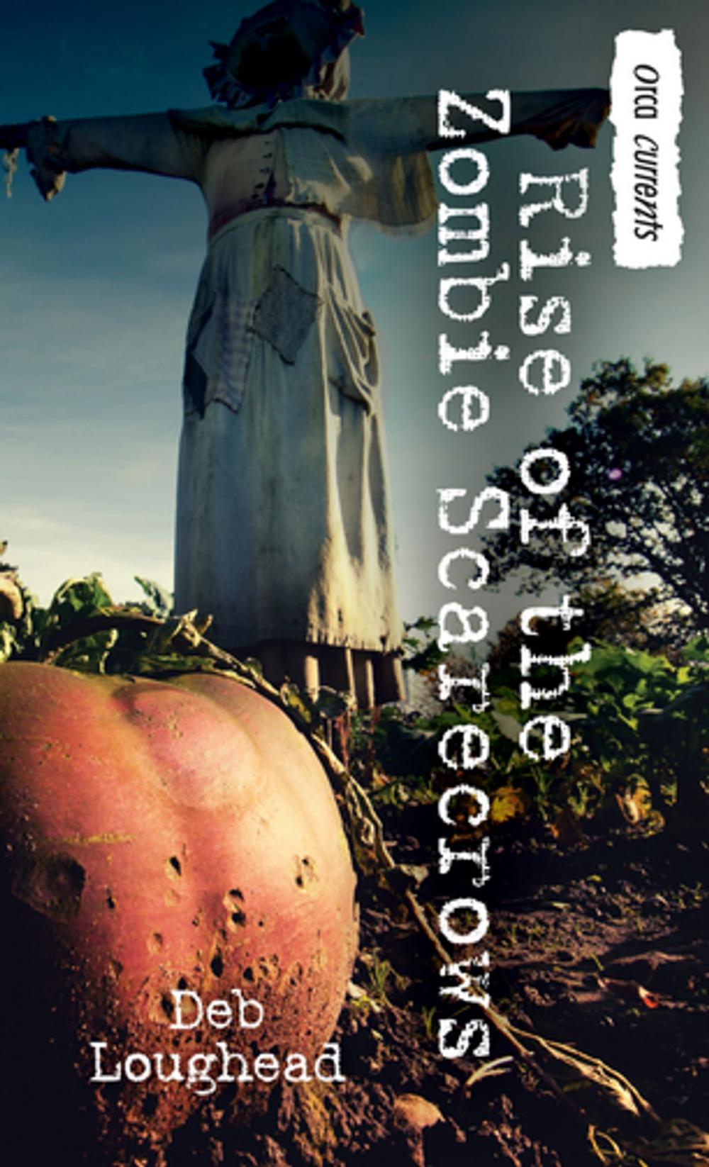 Big bigCover of Rise of the Zombie Scarecrows