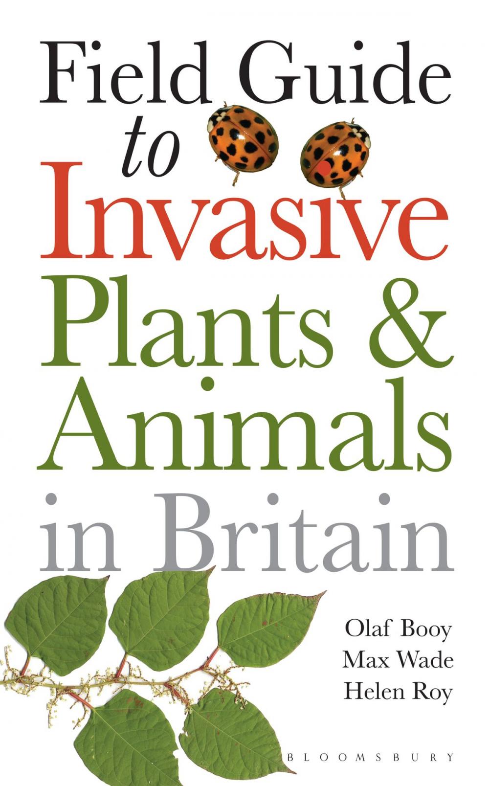 Big bigCover of Field Guide to Invasive Plants and Animals in Britain