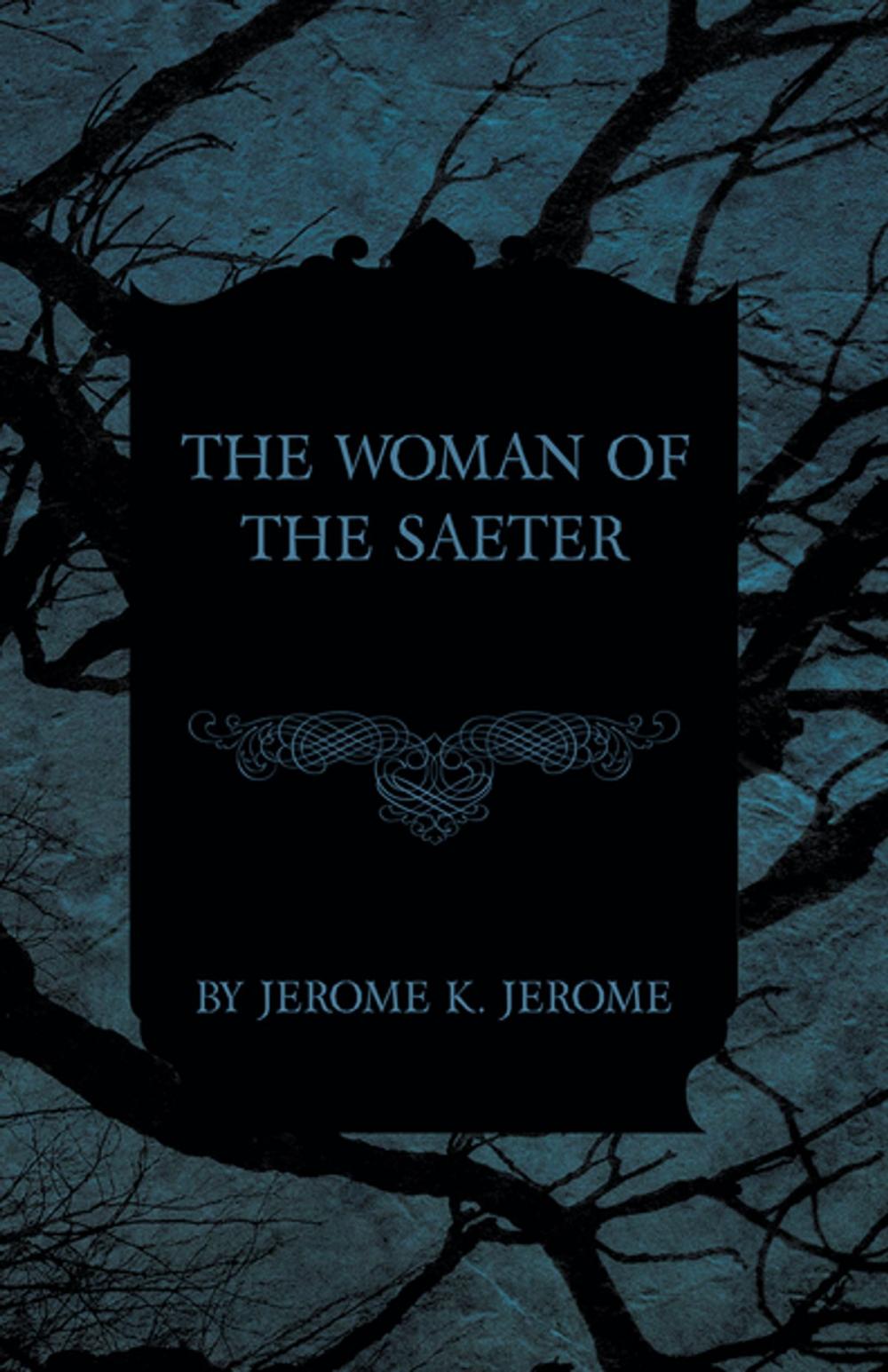 Big bigCover of The Woman of the Saeter