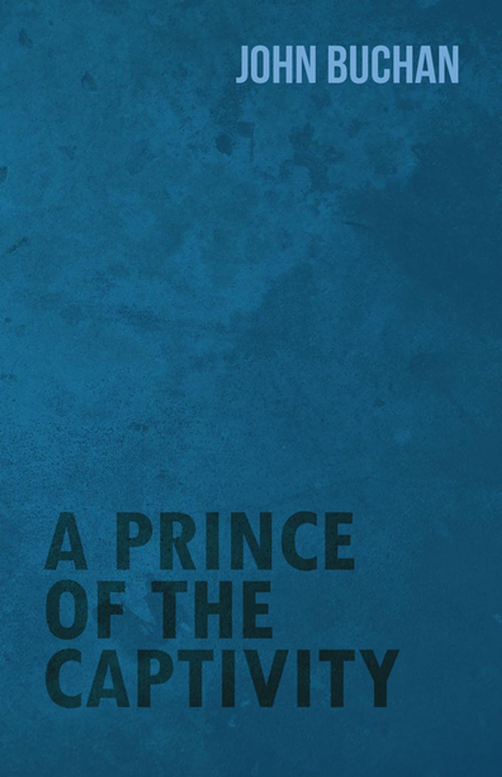 Big bigCover of A Prince of the Captivity