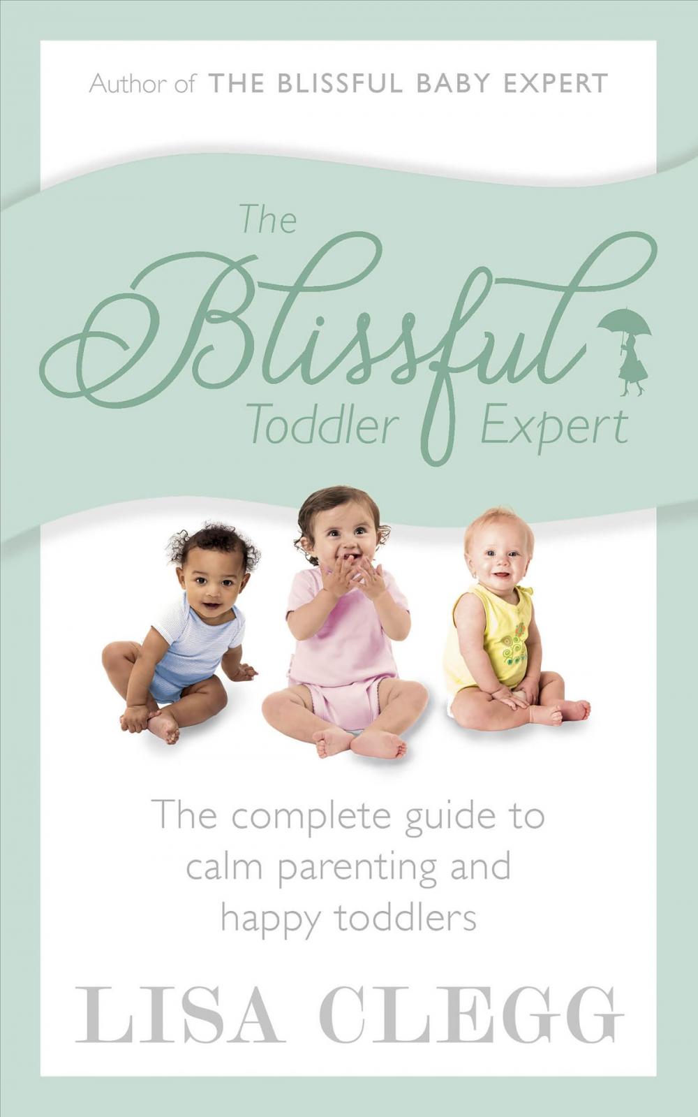 Big bigCover of The Blissful Toddler Expert