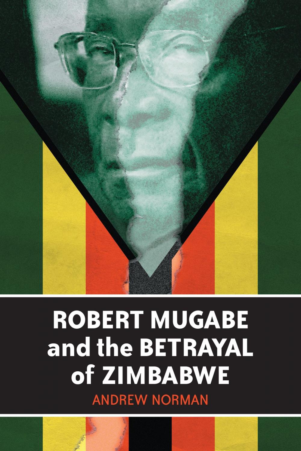 Big bigCover of Robert Mugabe and the Betrayal of Zimbabwe