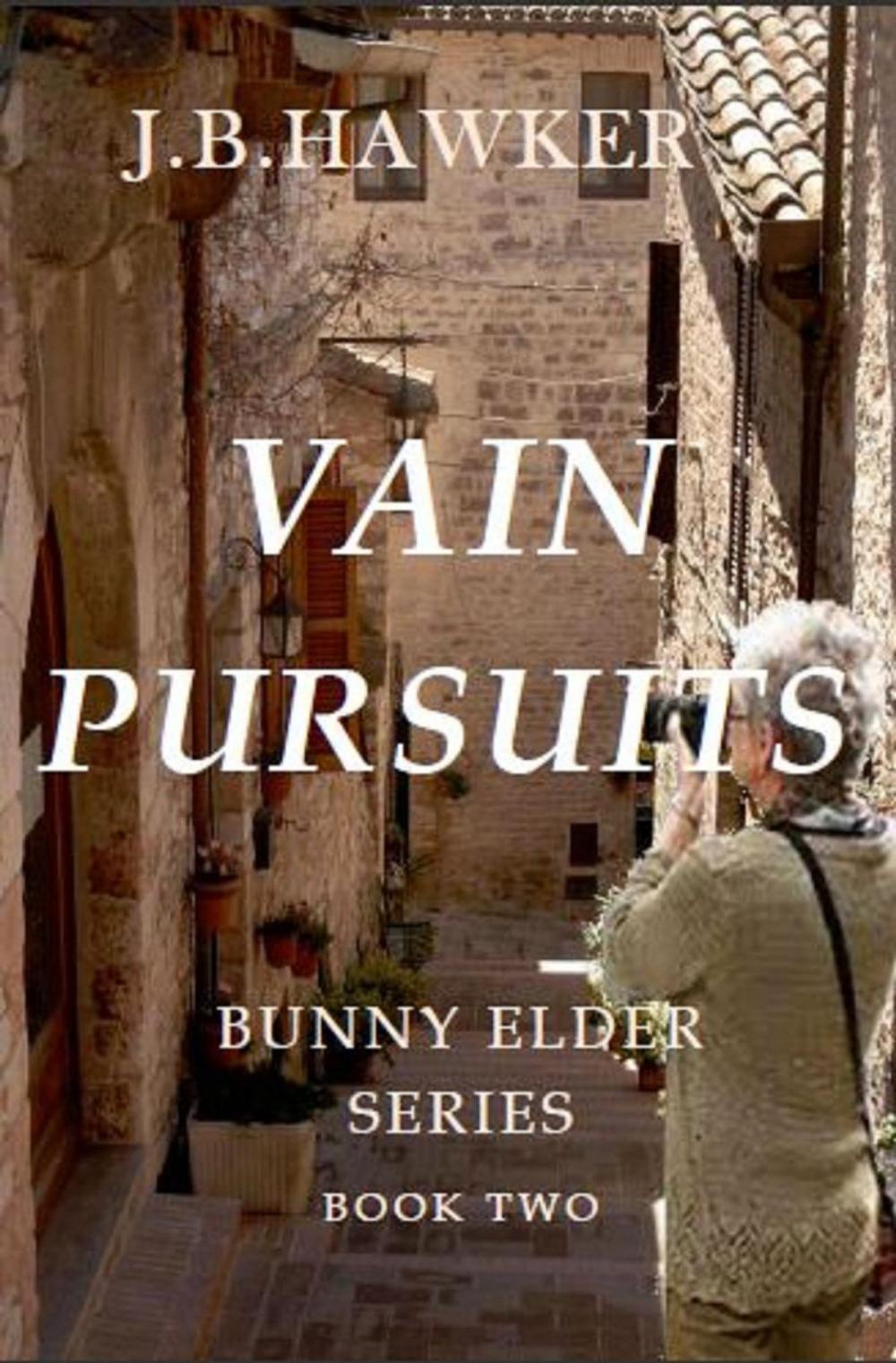 Big bigCover of Vain Pursuits