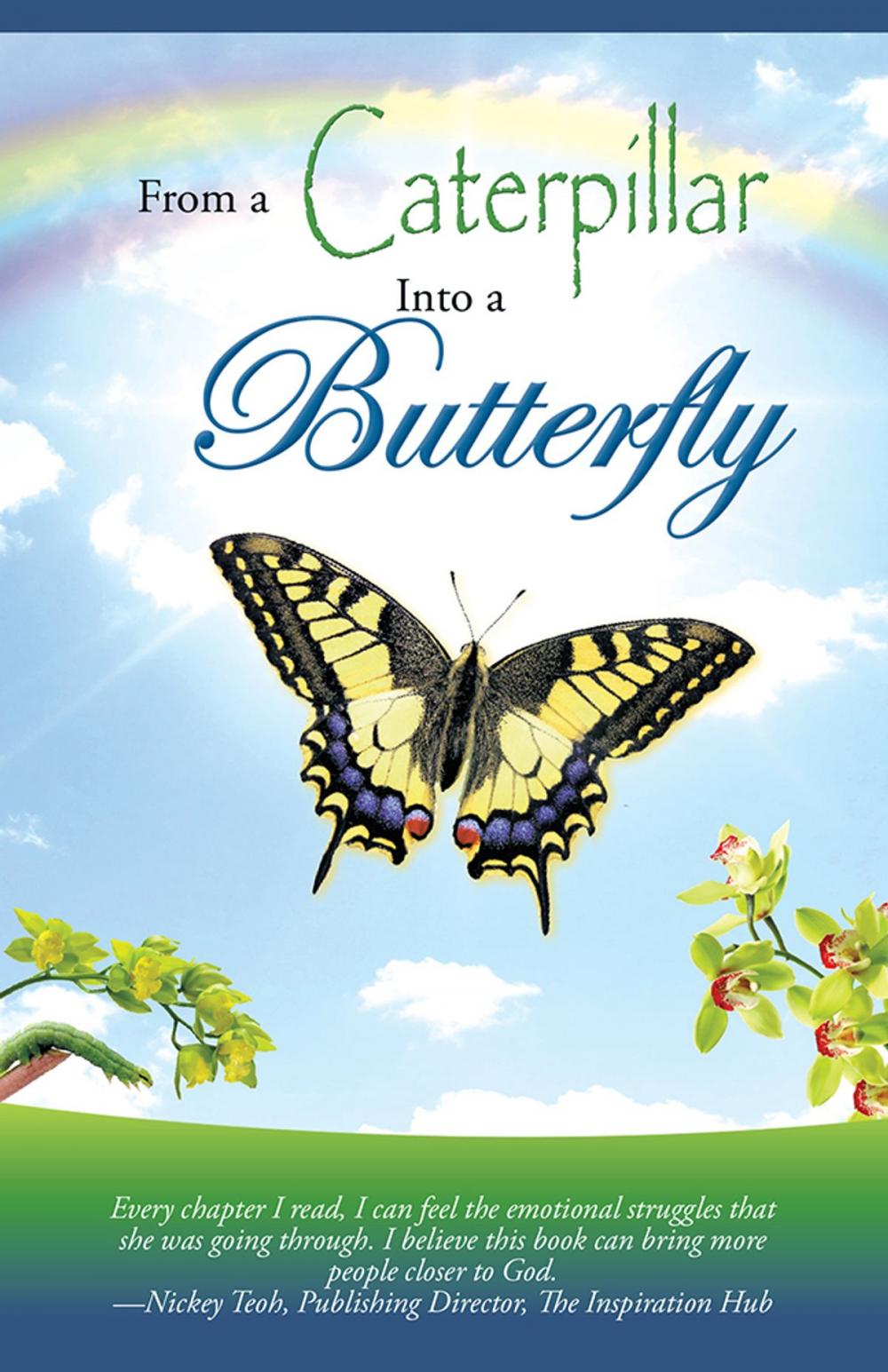 Big bigCover of From a Caterpillar into a Butterfly