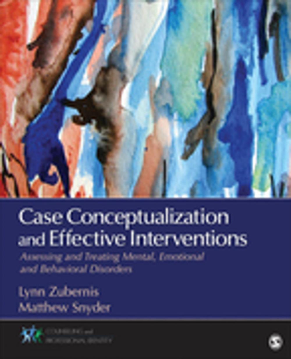 Big bigCover of Case Conceptualization and Effective Interventions