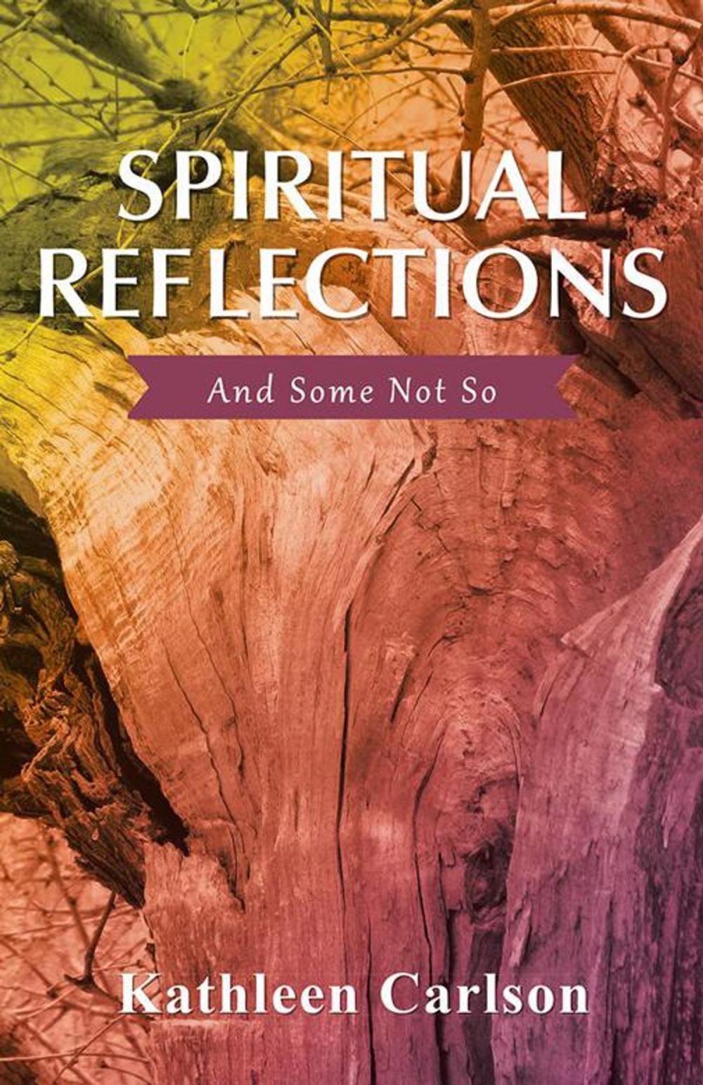 Big bigCover of Spiritual Reflections