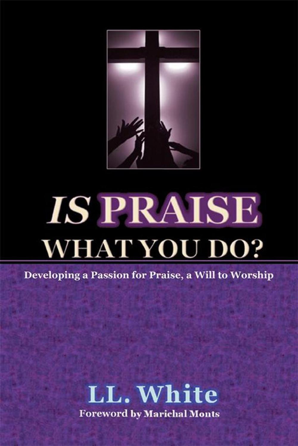 Big bigCover of Is Praise What You Do?