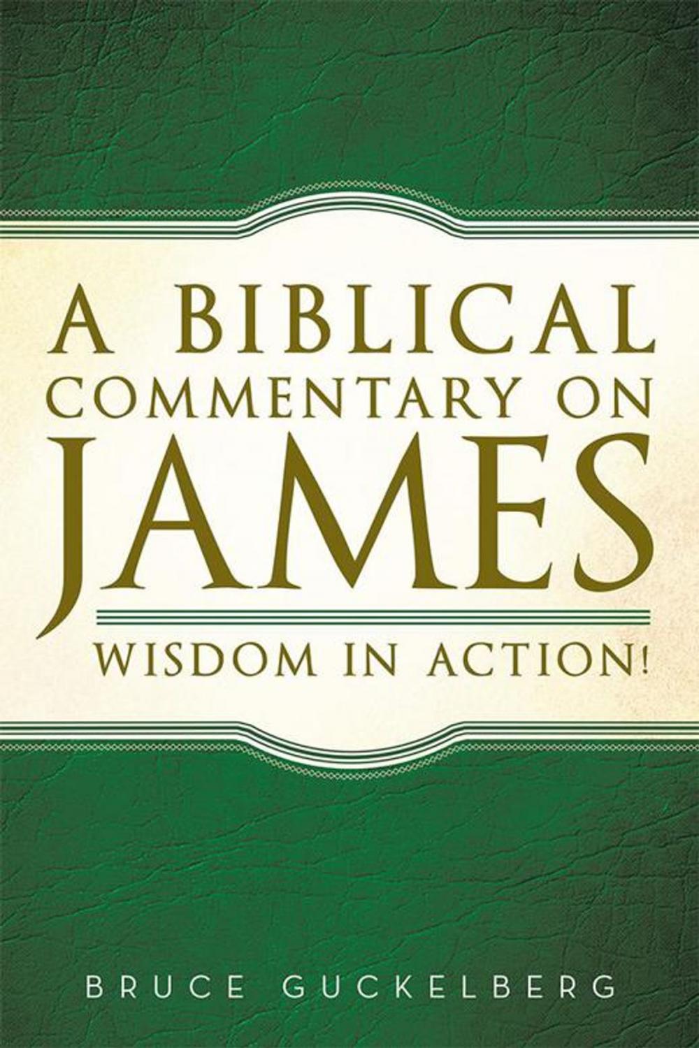 Big bigCover of A Biblical Commentary on James