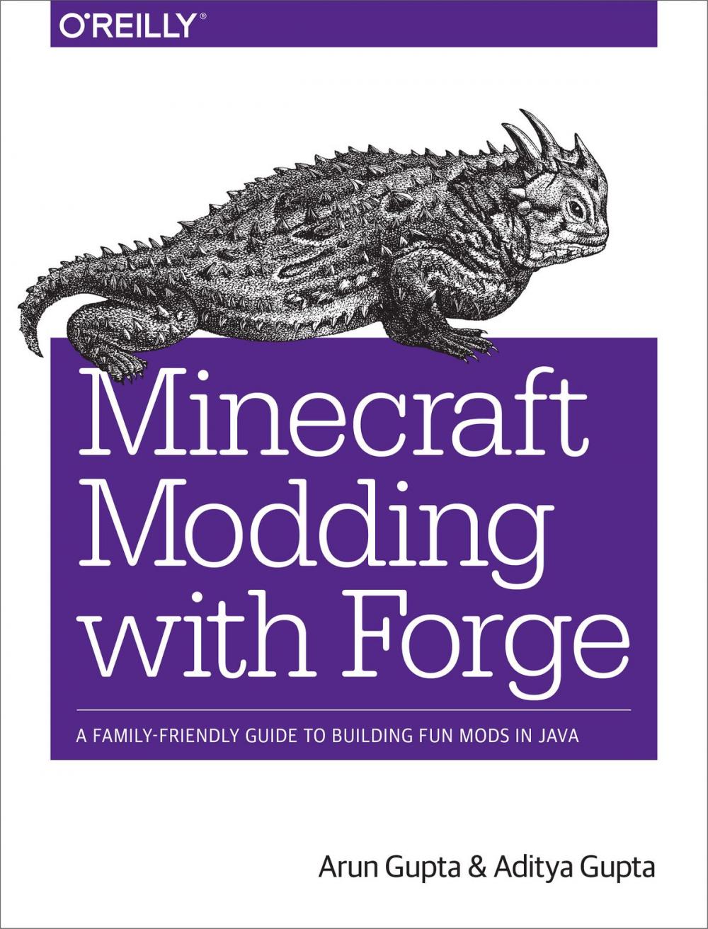 Big bigCover of Minecraft Modding with Forge