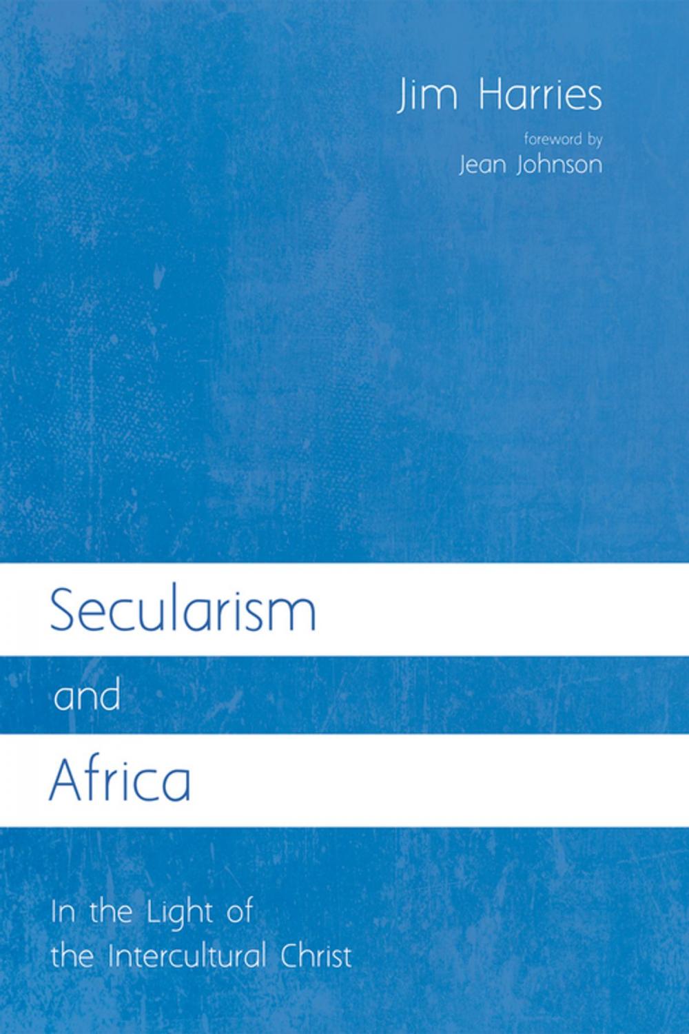 Big bigCover of Secularism and Africa