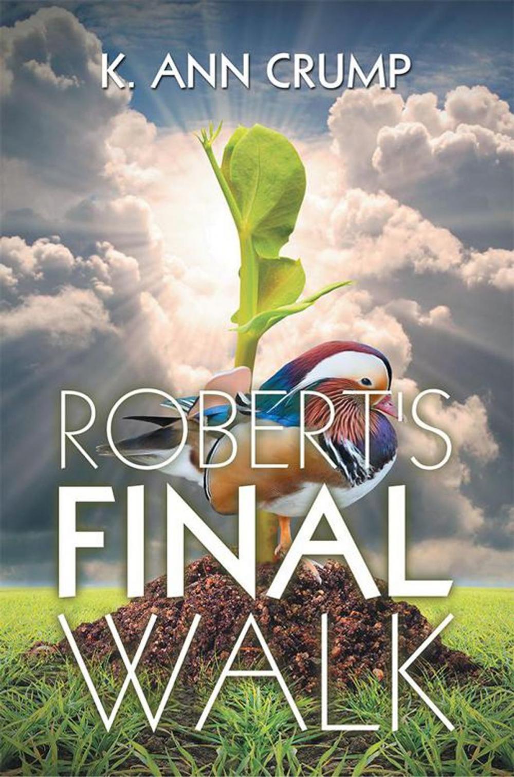 Big bigCover of Robert's Final Walk