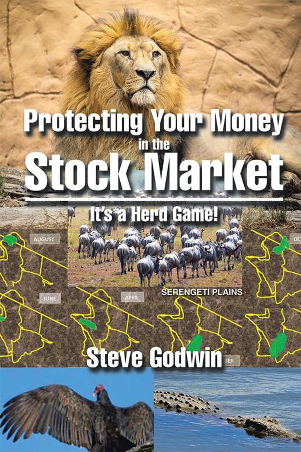 Big bigCover of Protecting Your Money in the Stock Market