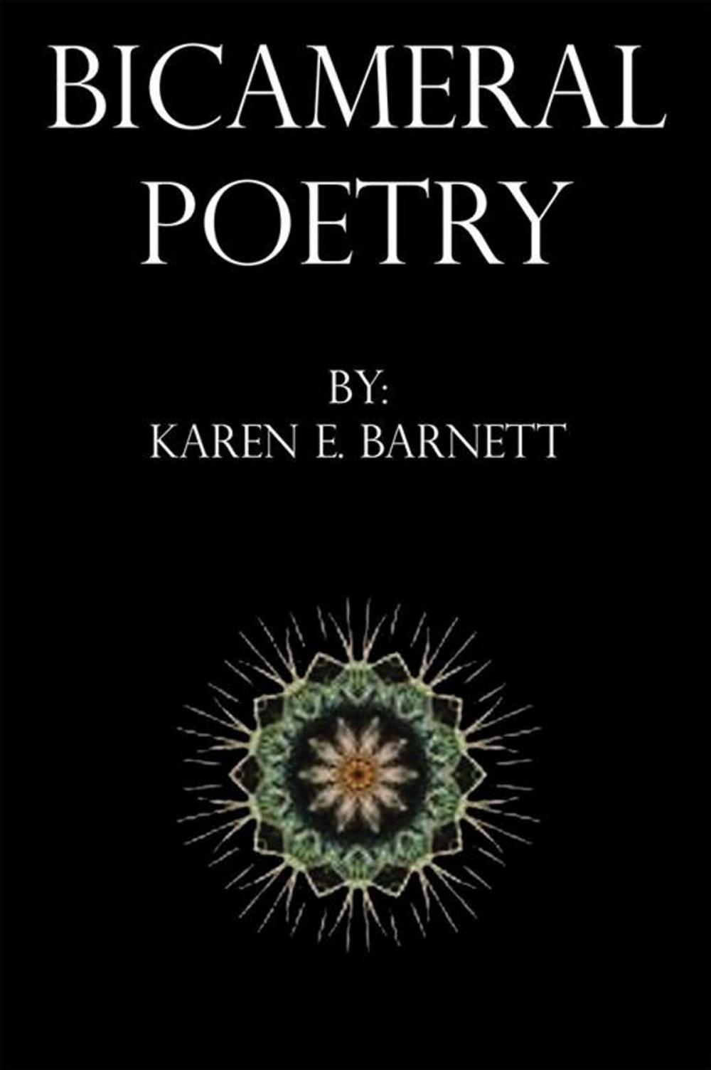 Big bigCover of Bicameral Poetry