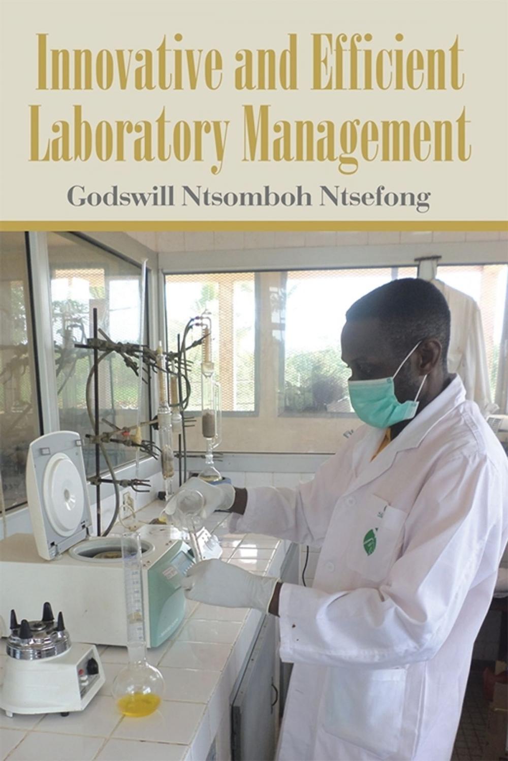 Big bigCover of Innovative and Efficient Laboratory Management