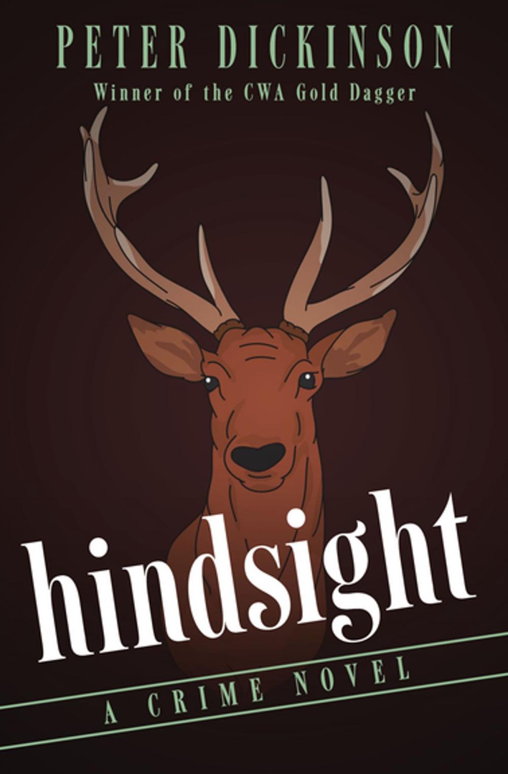 Big bigCover of Hindsight